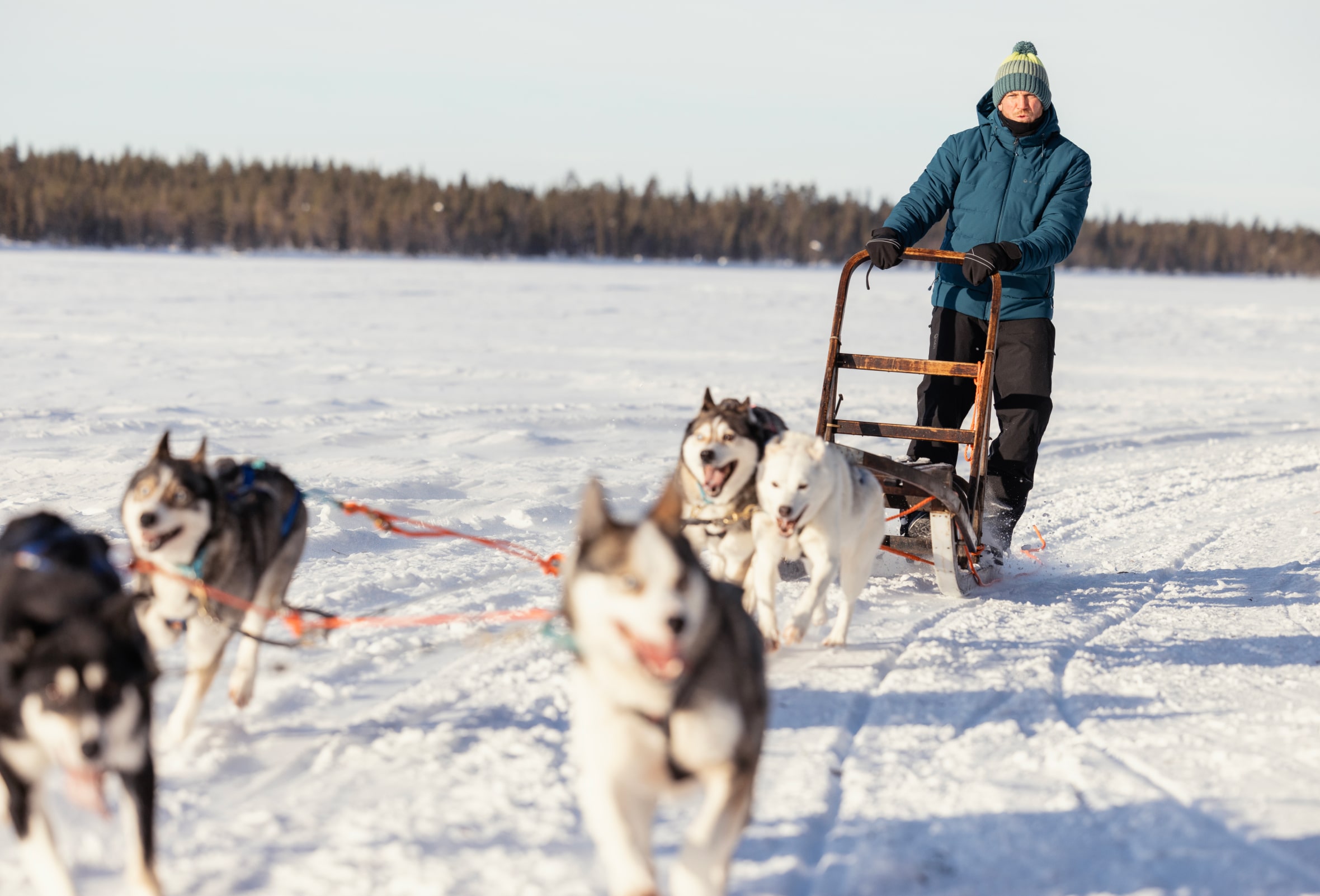 Kurtka narciarska męska Halti Mellow